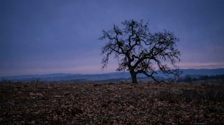 The Old Man Crucified