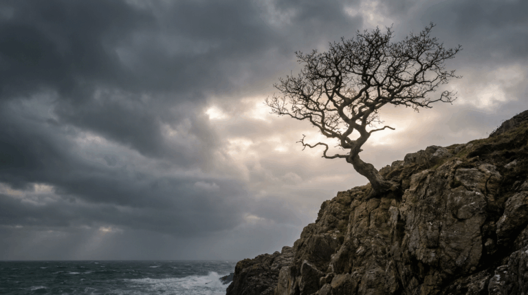 Multitudinous Thoughts and Sacred Comforts