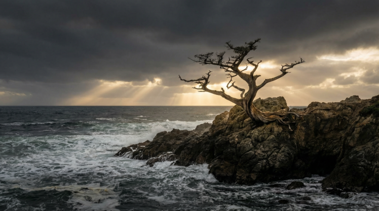 Assured Security in Christ