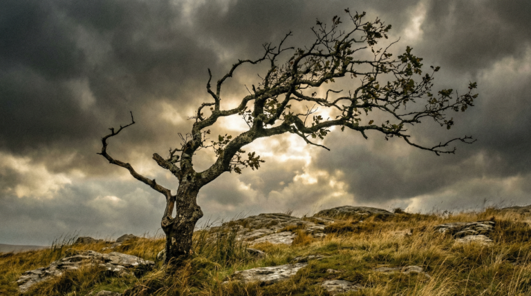 The Unrivalled Friend