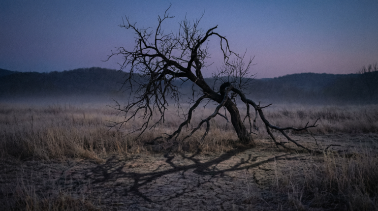 Sinner’s Bound with the Cords of Sin