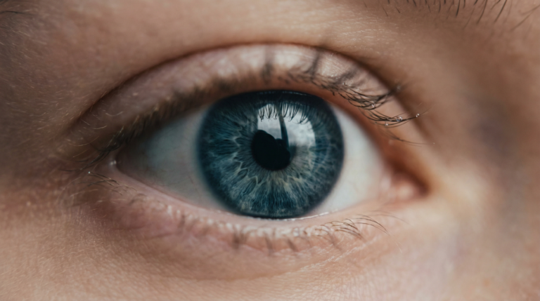 The Eye—A Similitude