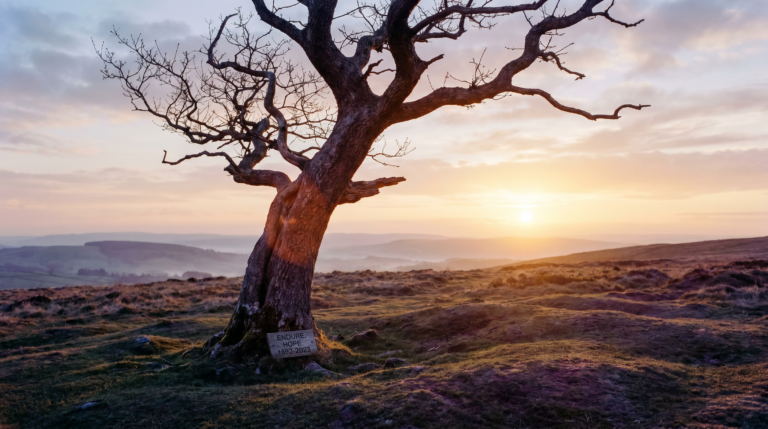 The Prayer of Jabez
